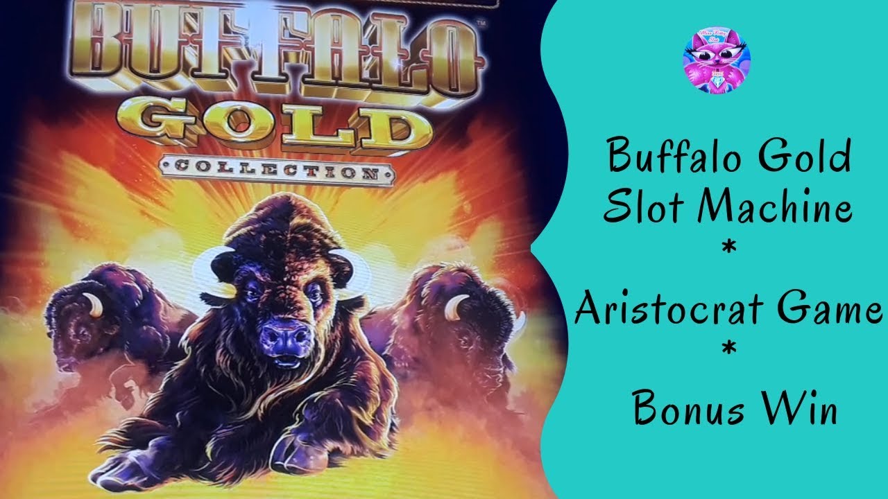 Buffalo Gold Slot Machine - Aristocrat Game - Bonus Win - Miss Kitty Slot
