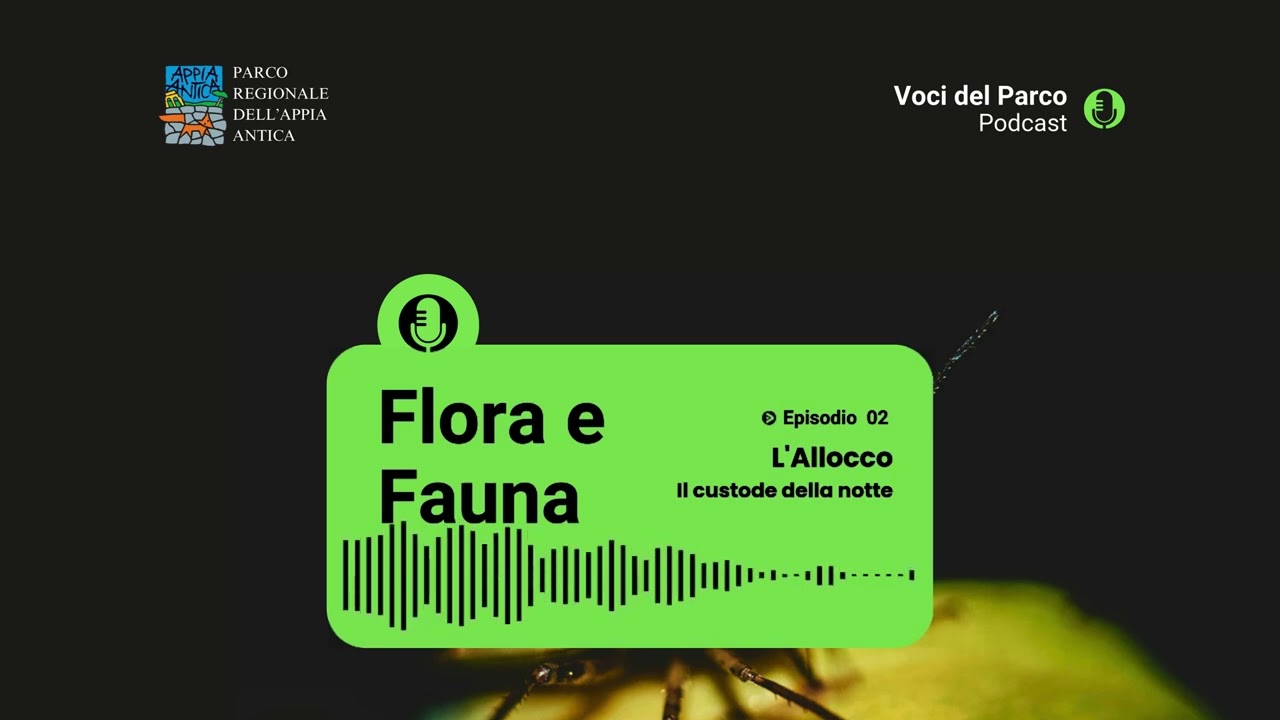 Flora e Fauna | Episodio 2 | L'Allocco - Il custode della notte