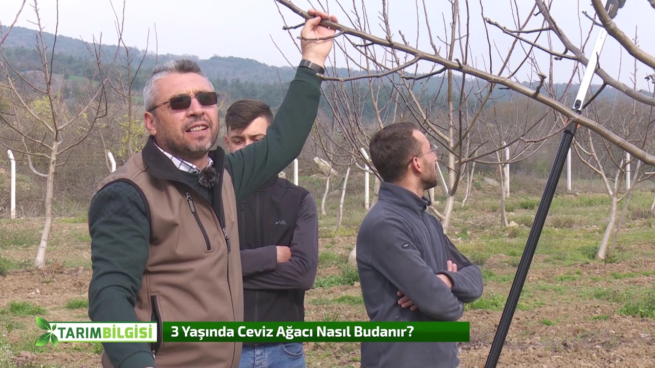 İbrahim Balkal 2020 Budama Programı