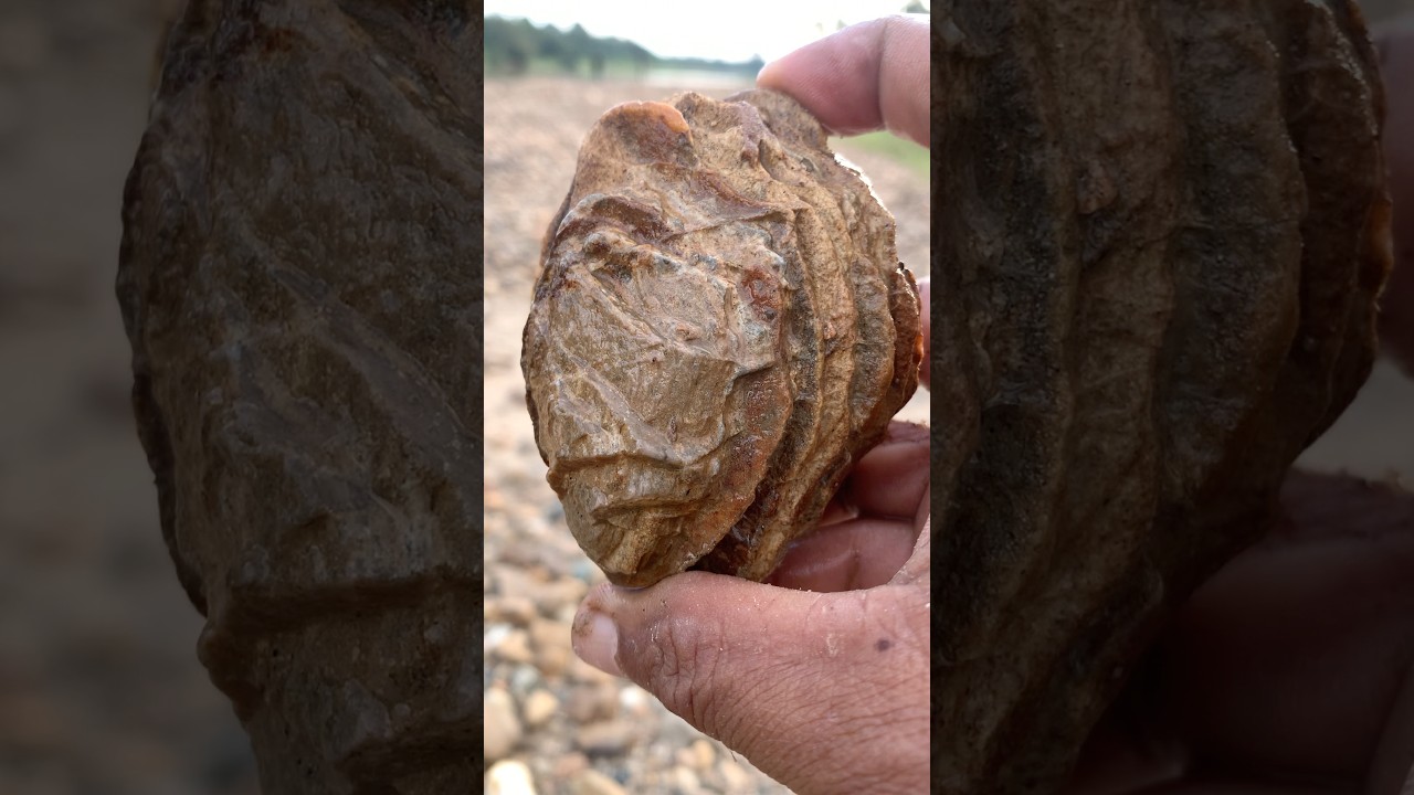 the discovery of a type of stepping stone that can live in two worlds #Rockhounding #Agate