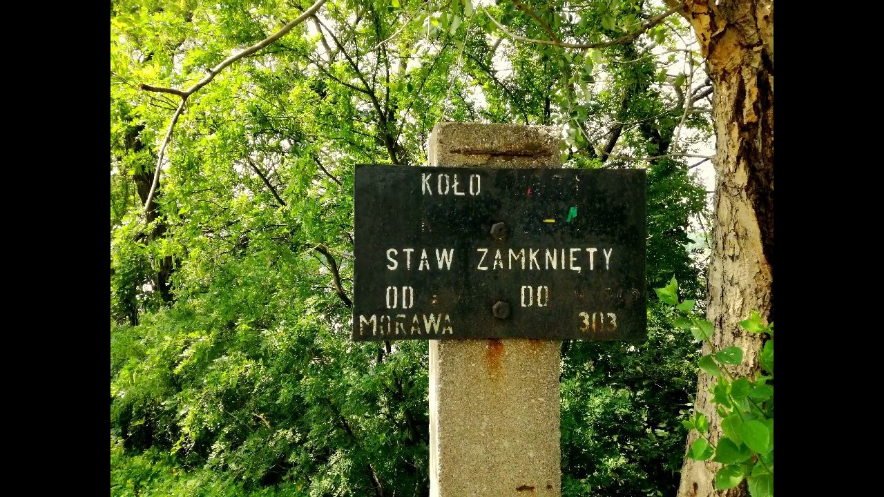 ŁOWISKO PZW KATOWICE NR 303 - MORAWA
