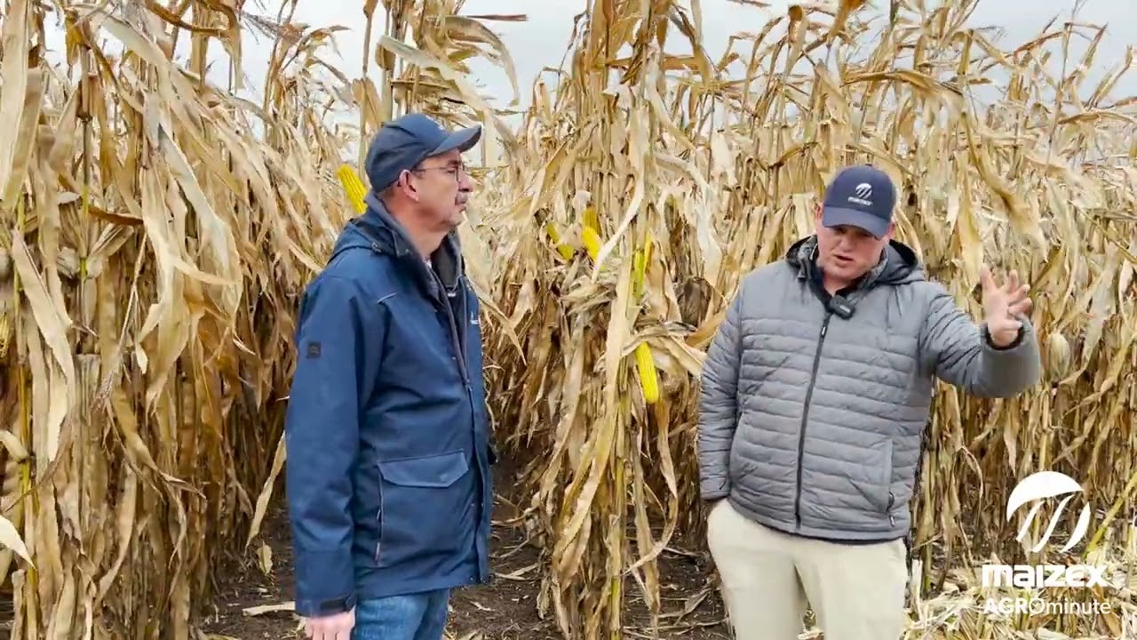 AgroMinute
