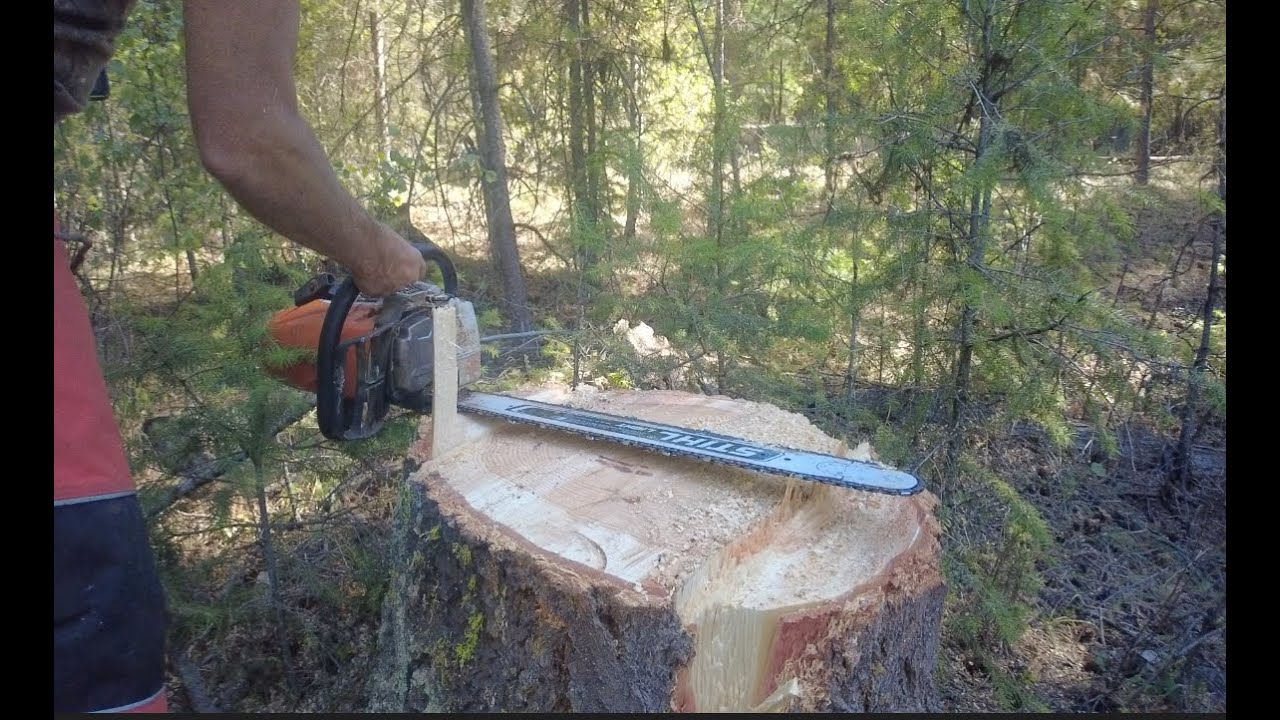 Milling a 25' Beam & Felling several trees / Ep.18