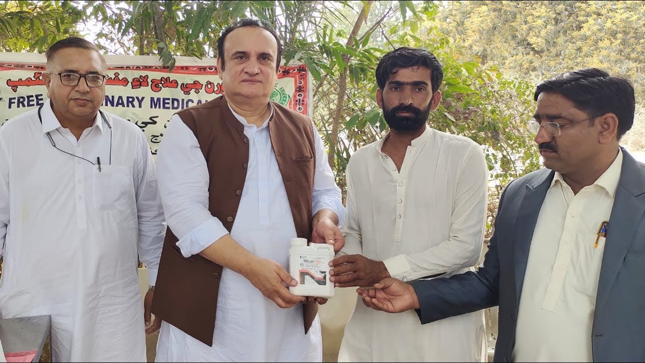 Free veterinary camp at Gul Lashari camp MPG Hyerabad.