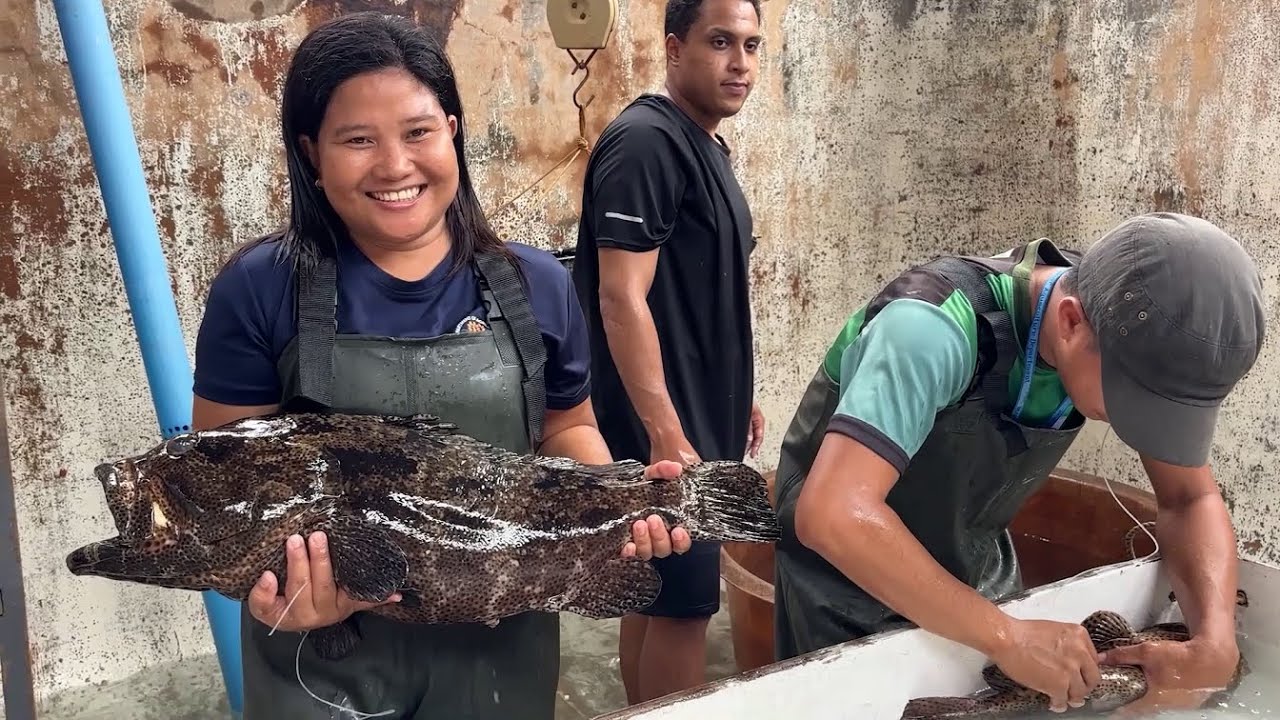 2024 Training Course on Marine Fish Hatchery Operations