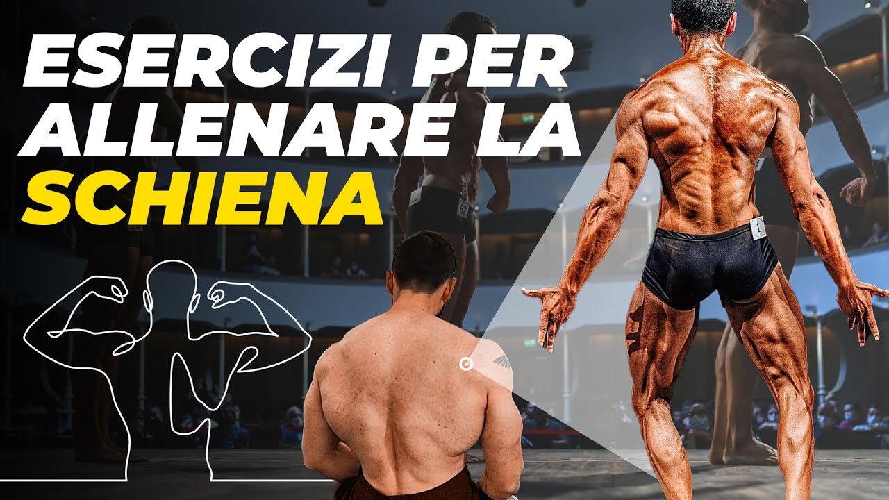 Esercizi per allenare la schiena