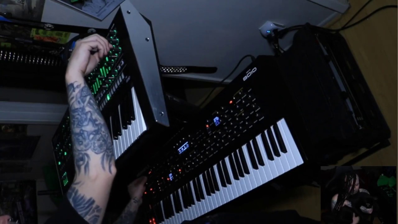 Keyboard cats, featuring the System 8 and Prophet X.