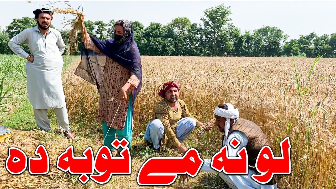 Lo Na Me Toba Da // Funny Video Now Days Wheat Cutting in Pakistan Watch And EnojoY Jafary Qasabgar🤣