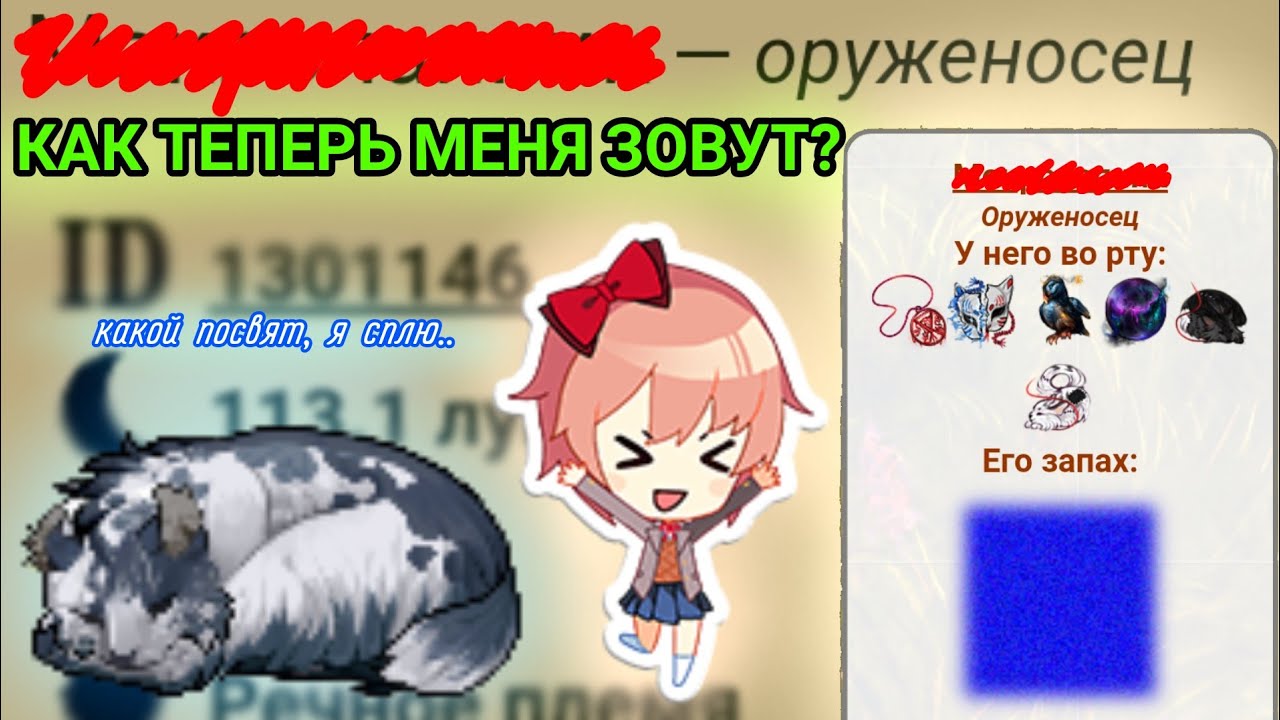 🍻ПОСВЯЩЕНИЕ В ОРУЖЕНОСЦЫ! Как теперь зовут Каплюшу? | | CatWar🍻