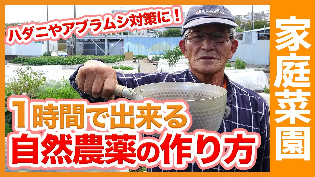 ハダニやアブラムシを撃退！1時間で自然農薬を作る方法！家庭菜園で使える害虫対策や農薬の使い方も解説【農家直伝】/ 1hour ! How to make natural pesticides.