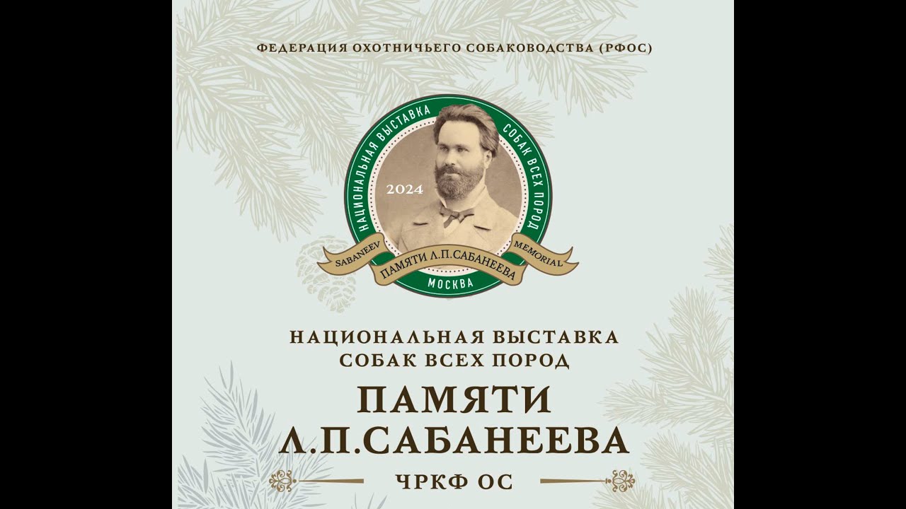 Финальное судейство - сравнение BEST in SHOW выставки им Л.П.Сабанеева 27.01.2024