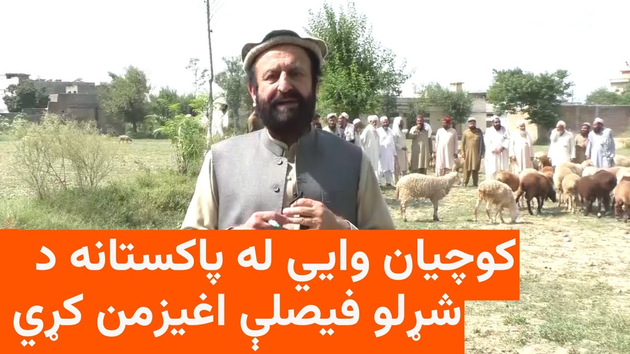 کوچيان: افغانستان ته د ستندنې په اړه د پاکستاني چارواکو فیصلې اغېزمن کړي یو