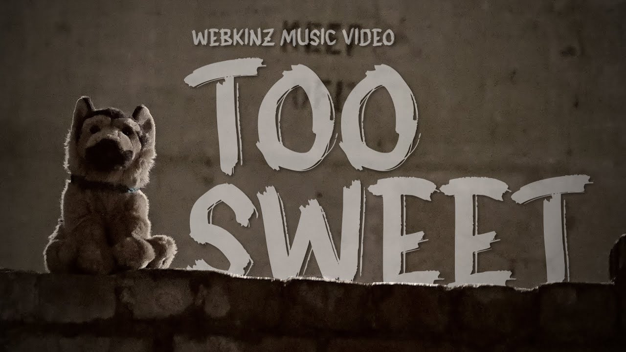 too sweet - webkinz music video