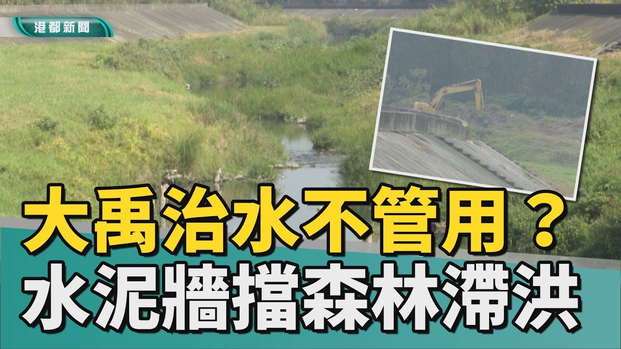 淹水難題｜1.2億護岸擋森林滯洪？ 典寶溪工程引發爭議