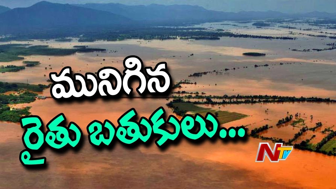 Incessant Rains And Flood Destroyed Thousands Acres of Crop in East Godavari District | NTV