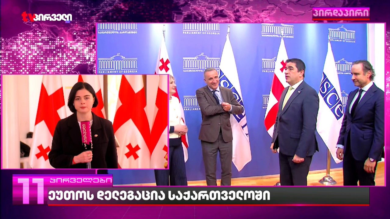 ეუთოს დელეგაცია საქართველოში | შეხვედრები დახურულ კარს მიღმა