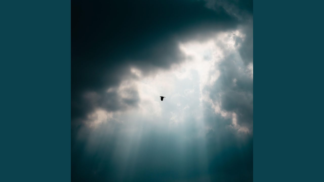 Fly