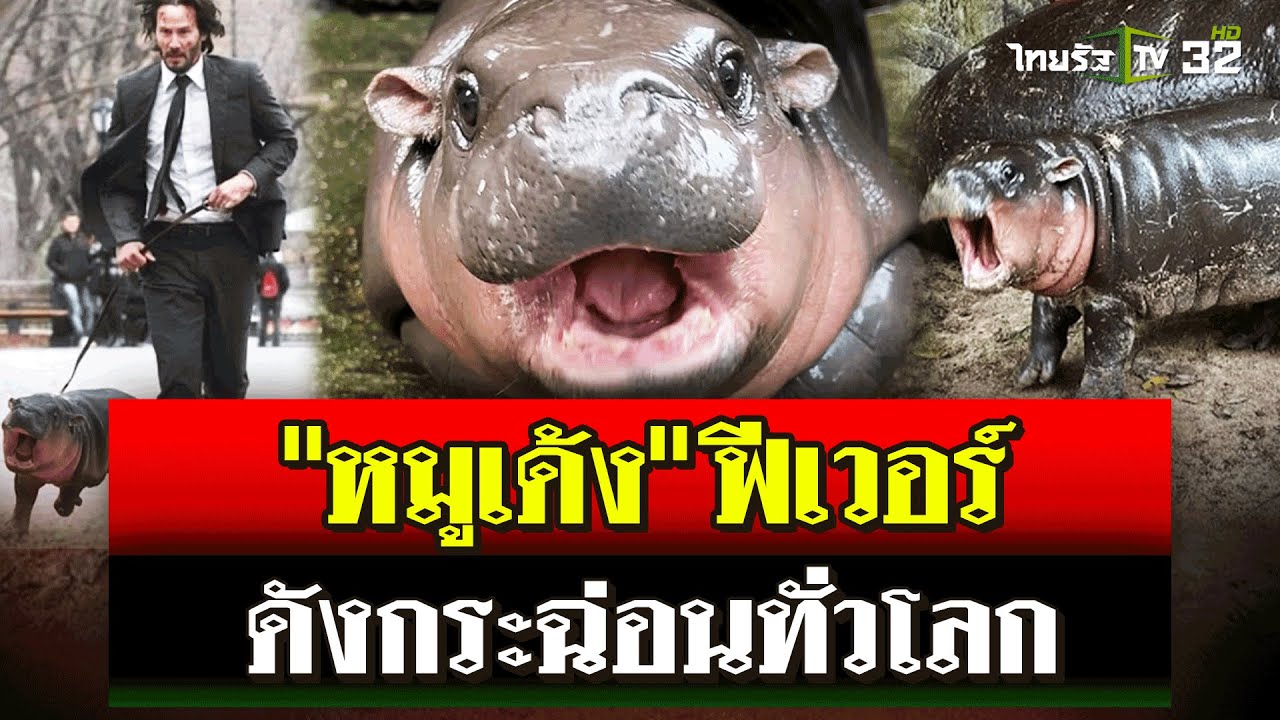 ซุปตาร์ 