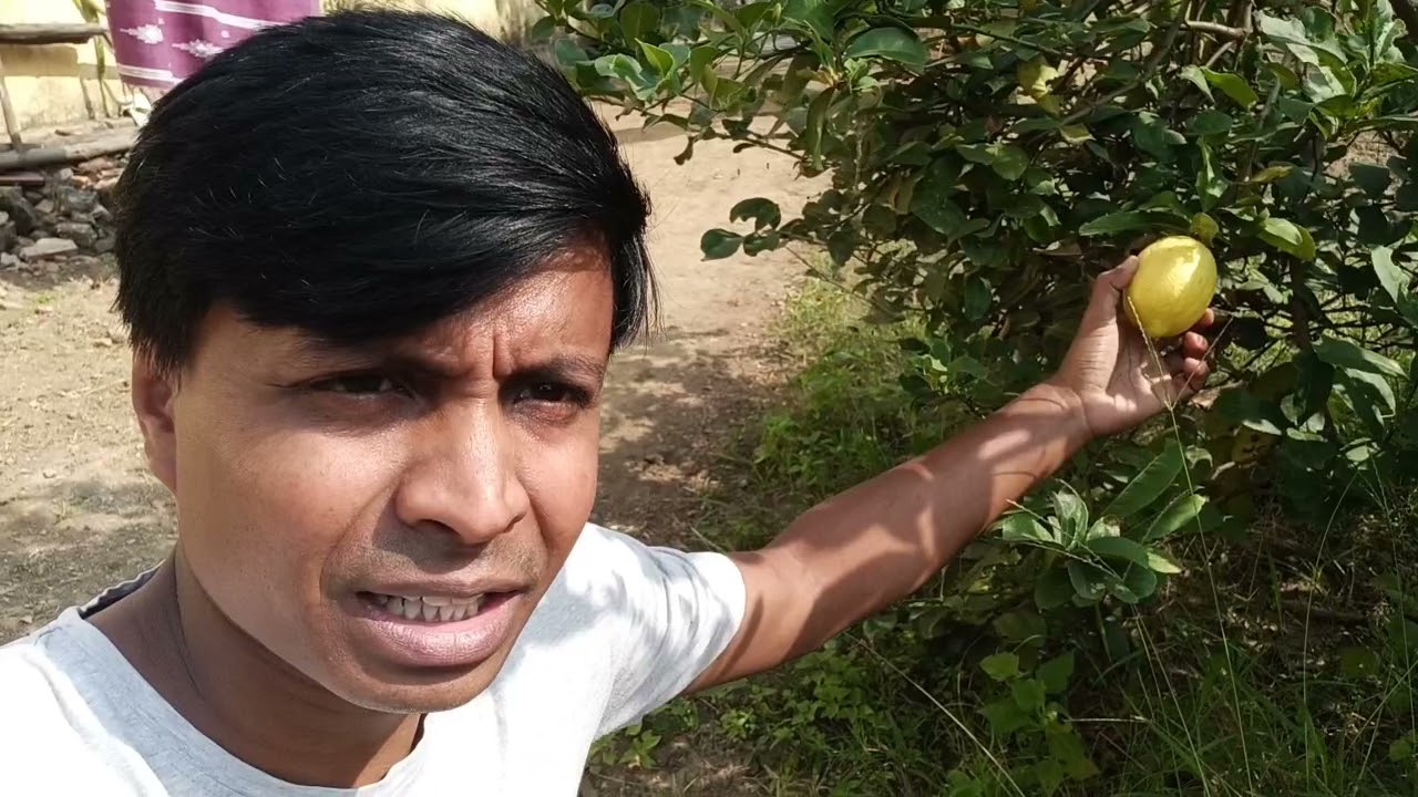 vlog#2||Badi maa's home tour 