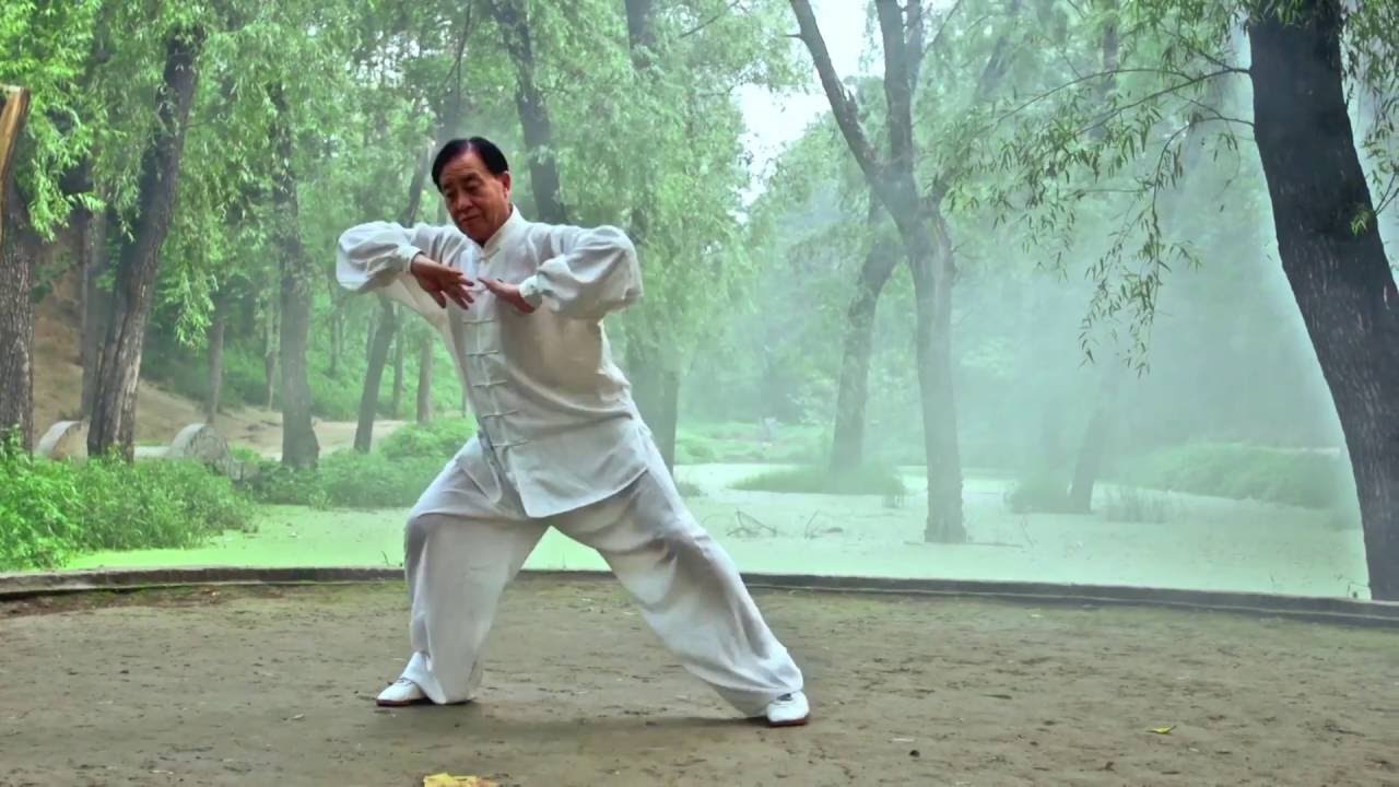 TaiChi Chen: Forma 13 Maestro Zhu Tian Cai en Chenjiagou.