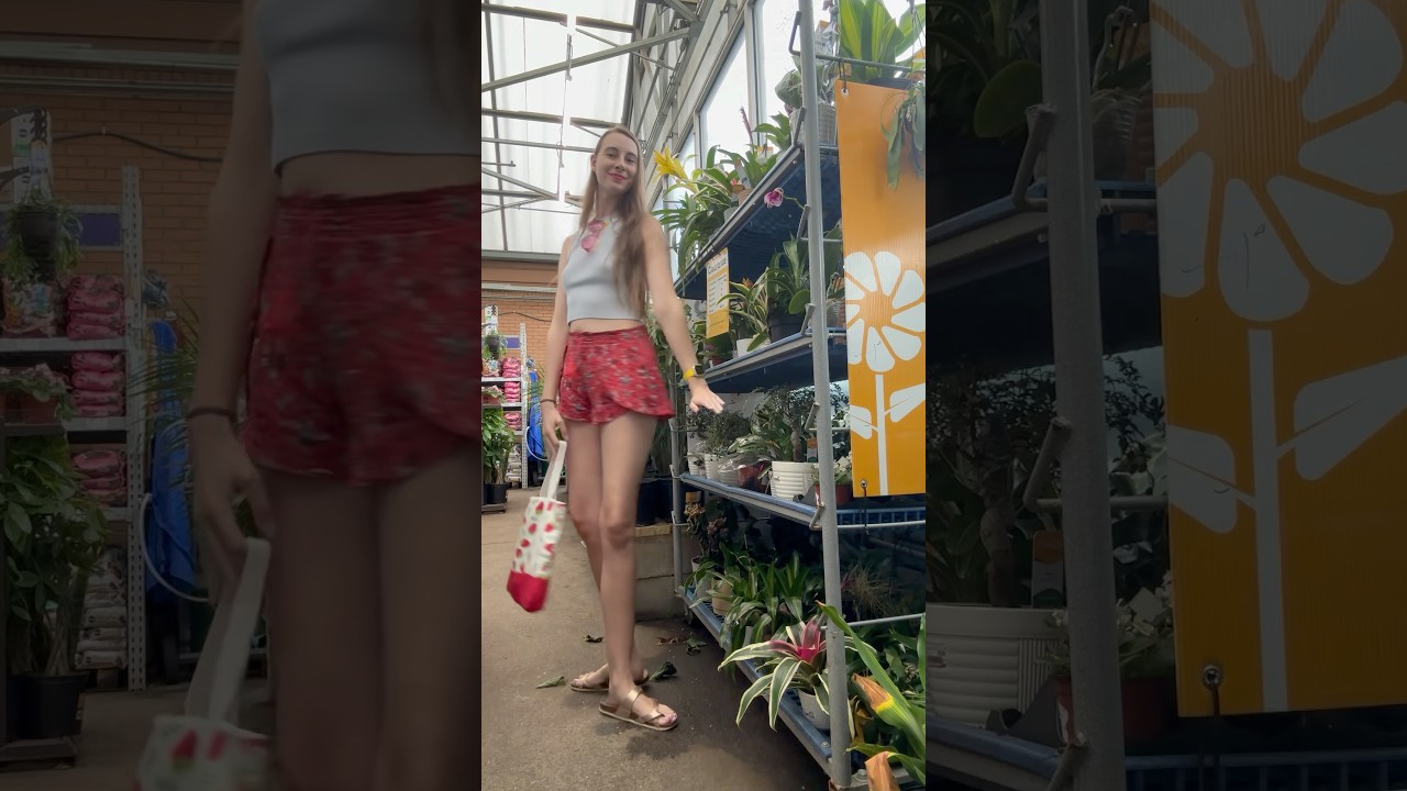 Plant clearance hates to see me coming 😌 #houseplants #tall