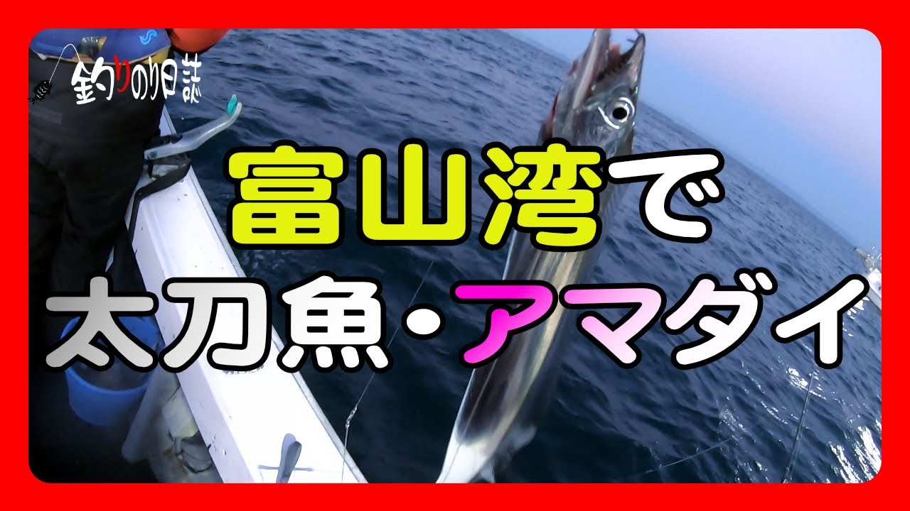 【釣りのり日誌】富山湾で太刀魚、アマダイ釣り　#幸導丸　#富山