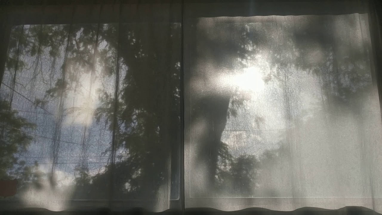 Late Afternoon Sunlight through Window