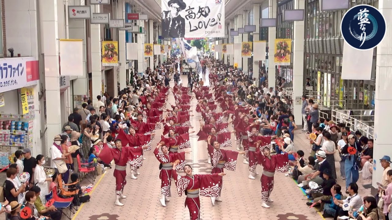 藍なり 第25回高知よさこい全国大会2023/8/12 帯屋町筋【鳴動～あらたな時～】