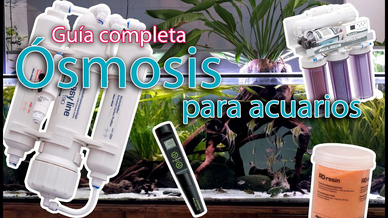 Equipos de ósmosis para acuarios, cómo sacarle el máximo rendimiento - Guía completa