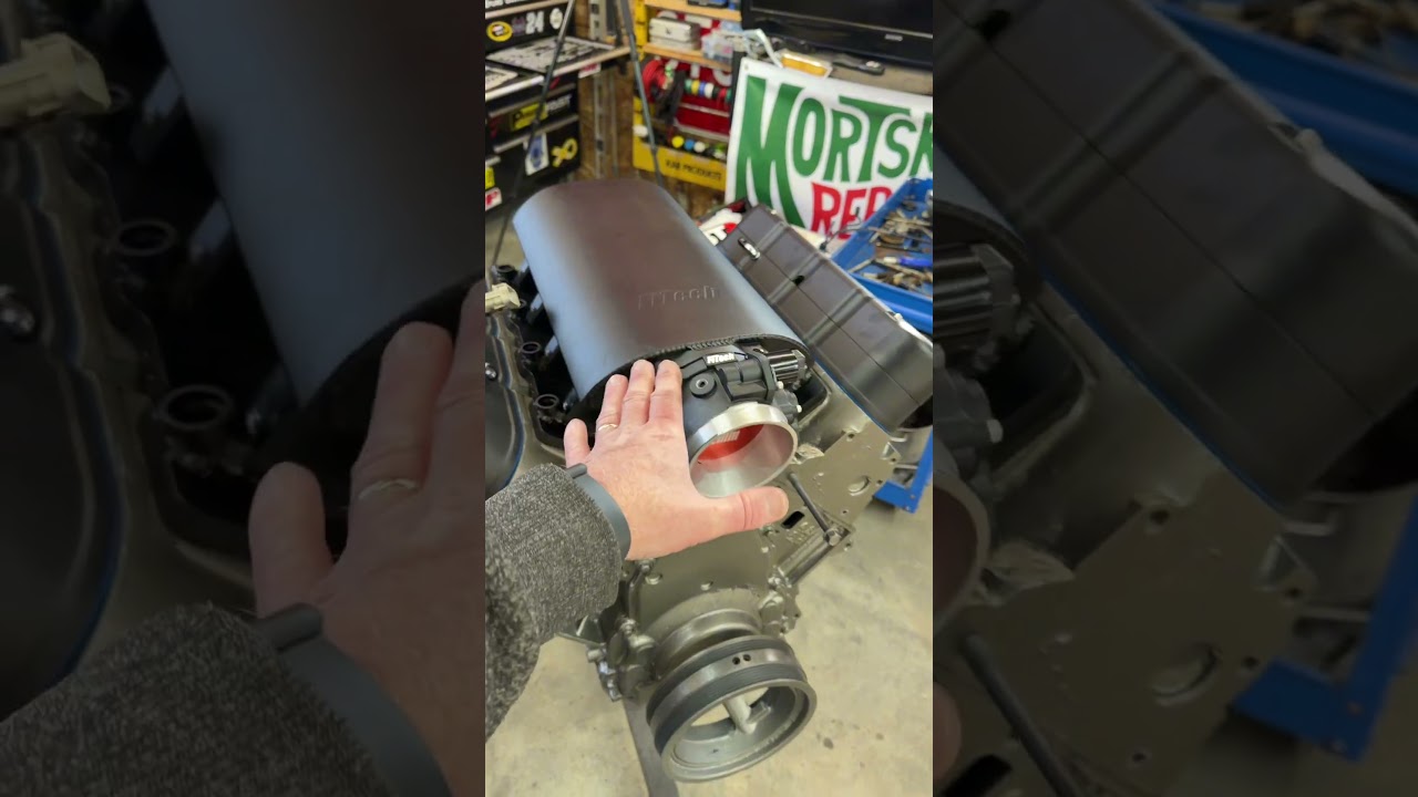 Нарядила LS с помощью @fitchefi5178