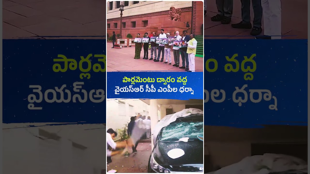 YSRCP MPs protested at Parliament House today against attacks on YSRCP leaders in Andhra Pradesh.