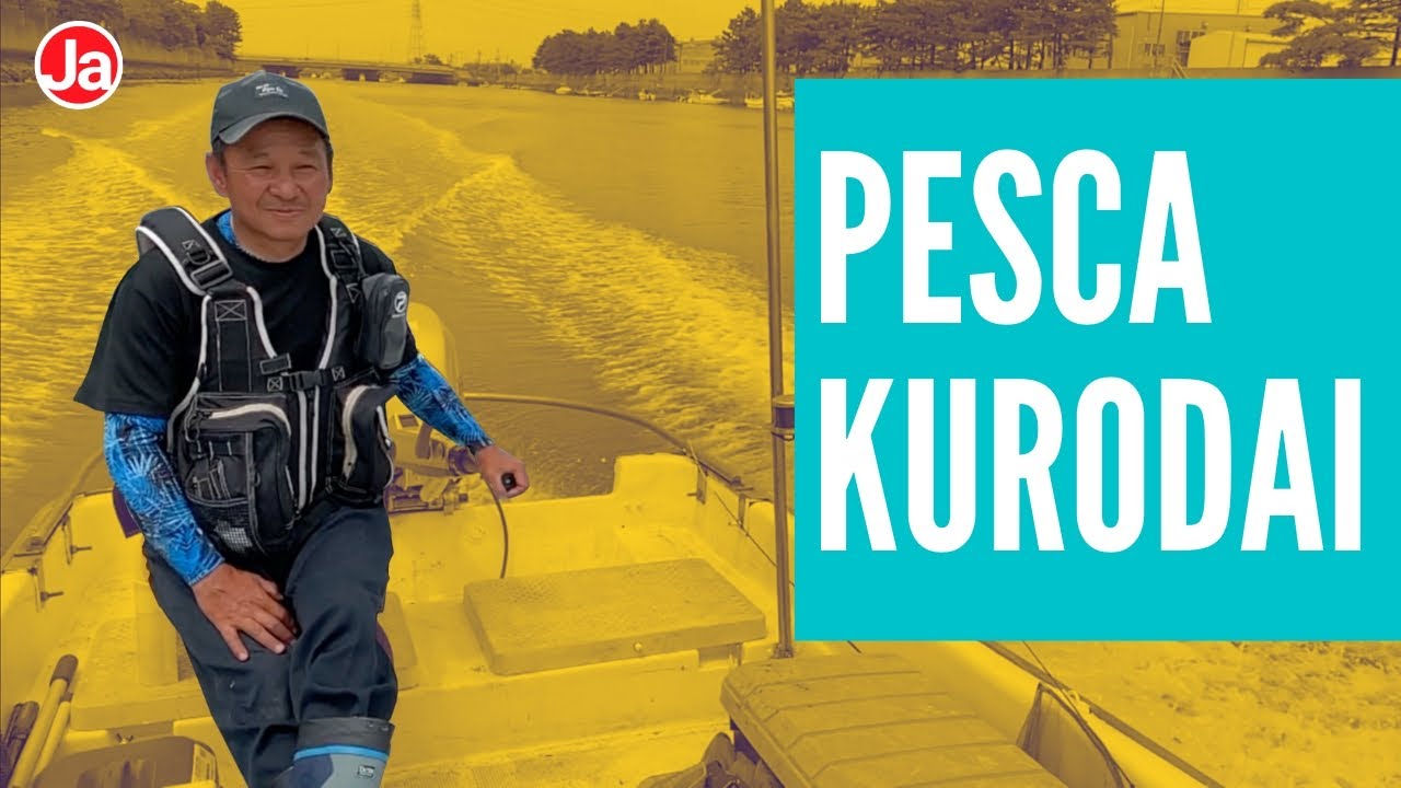 Pesca embarca de Kurodai - Sargo - Blackhead sea bream