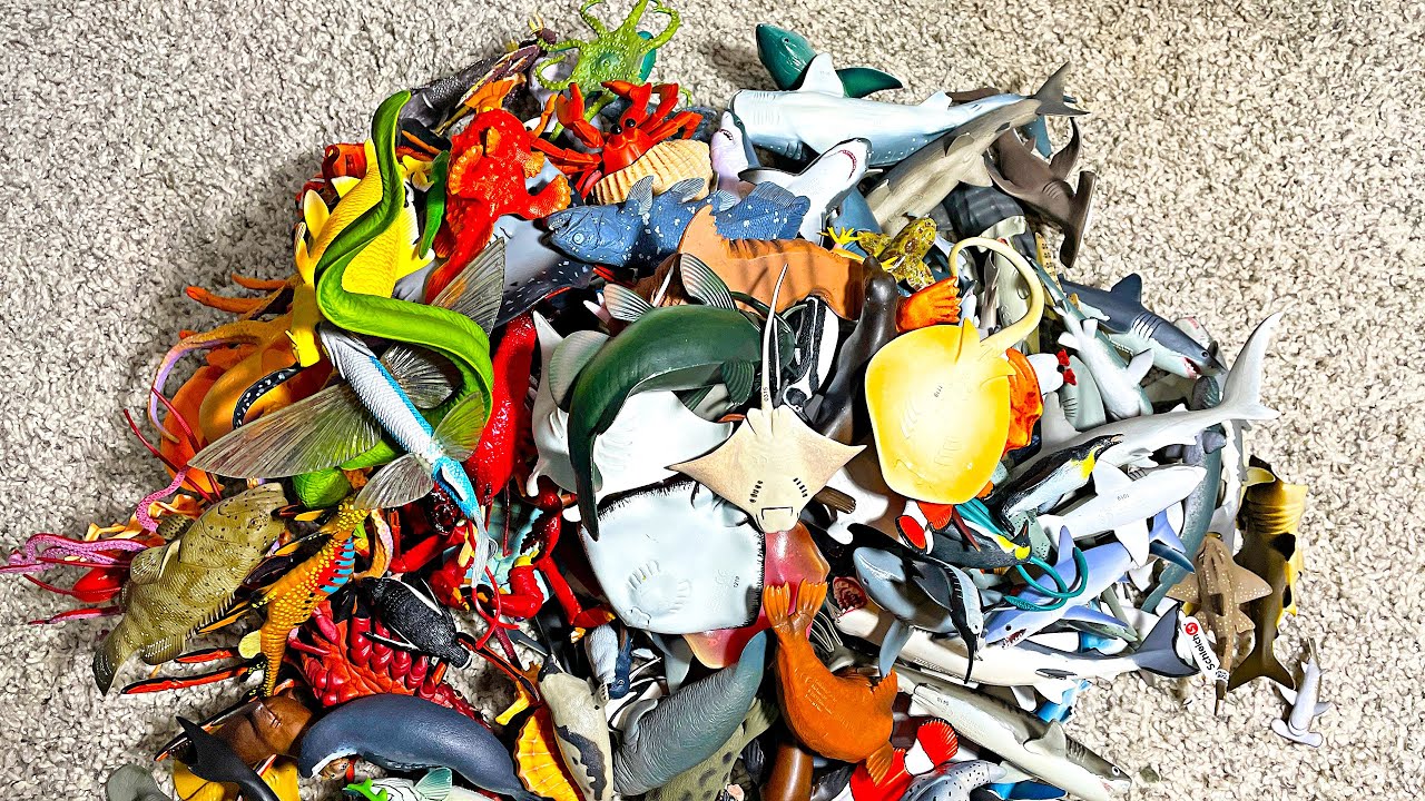 Entire Sea Animals Collection - Shark, Whale, Dolphin, Crab, Lobster, Seal, Walrus, Jelly Fish, Ray