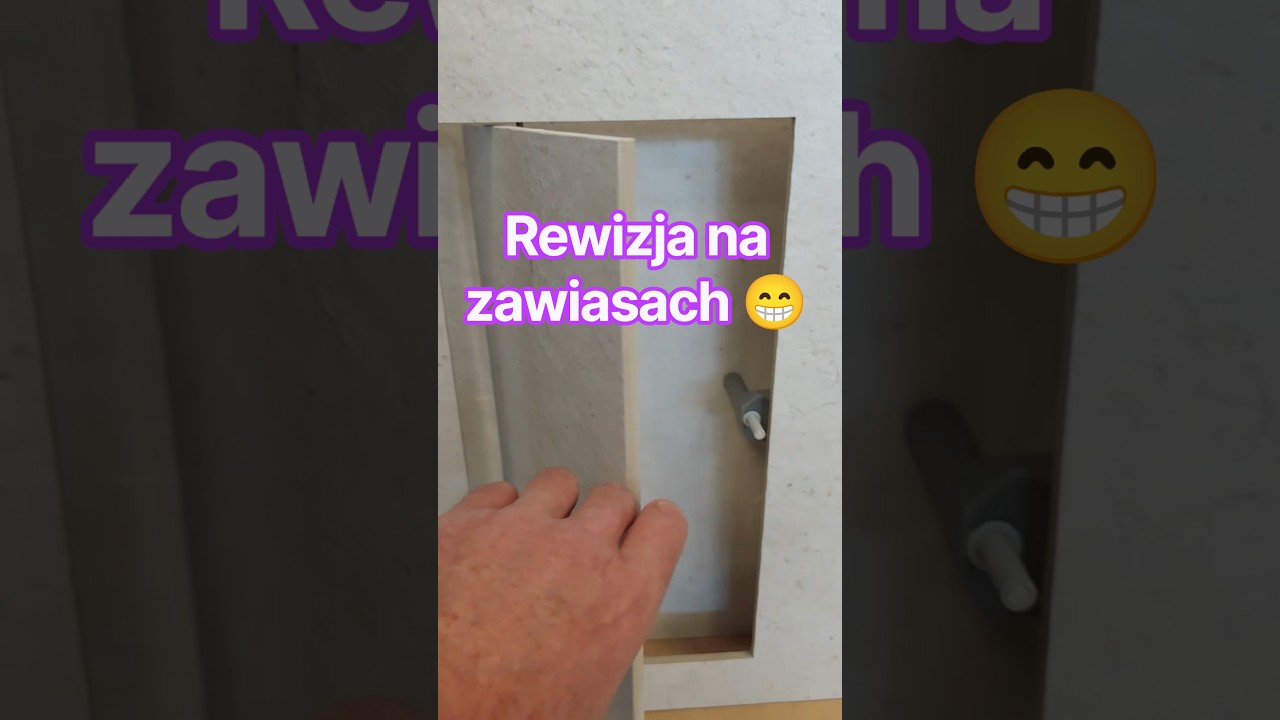 Rewizja na zawiasach.