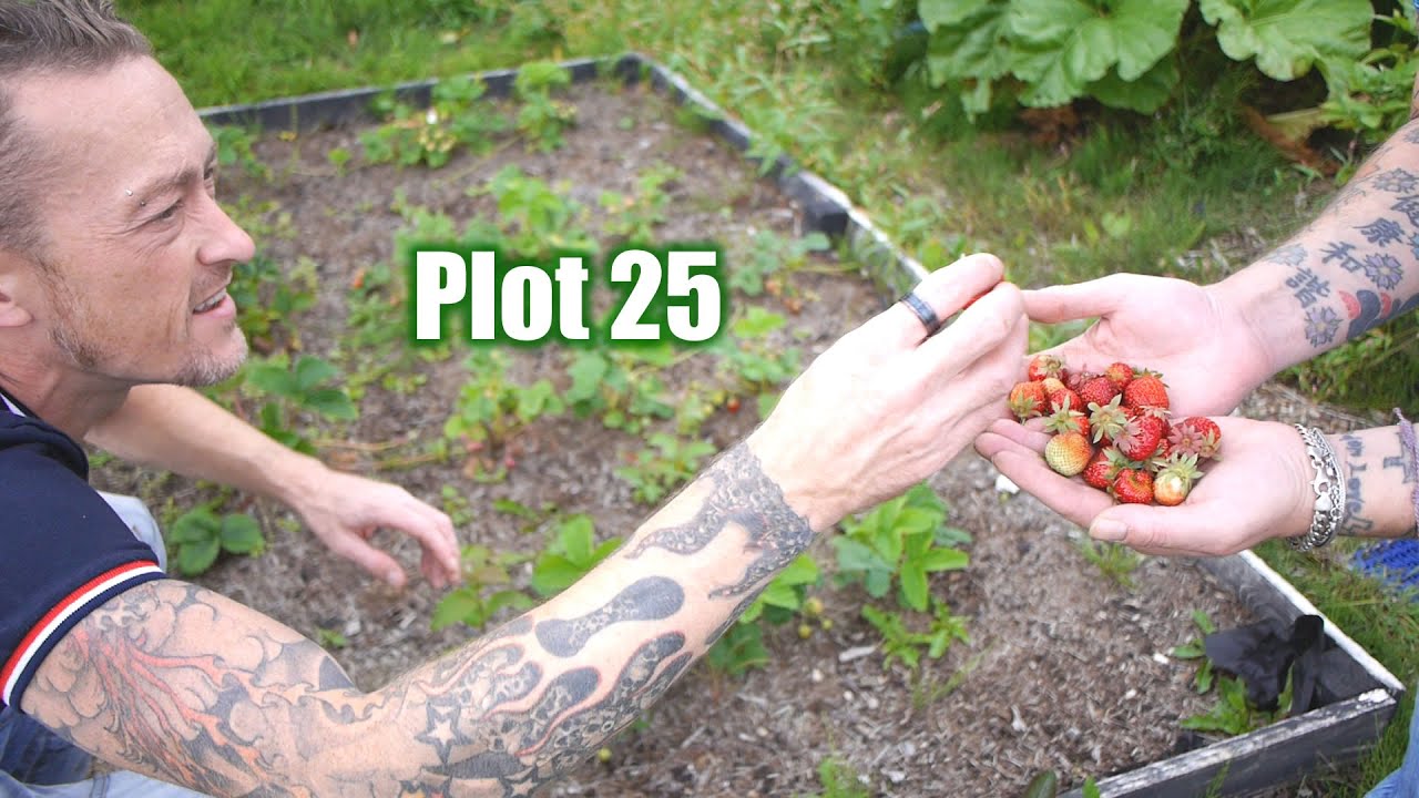 Видеоблог 34 - Наши приключения на дачном участке - #TrugLife #Plot25
