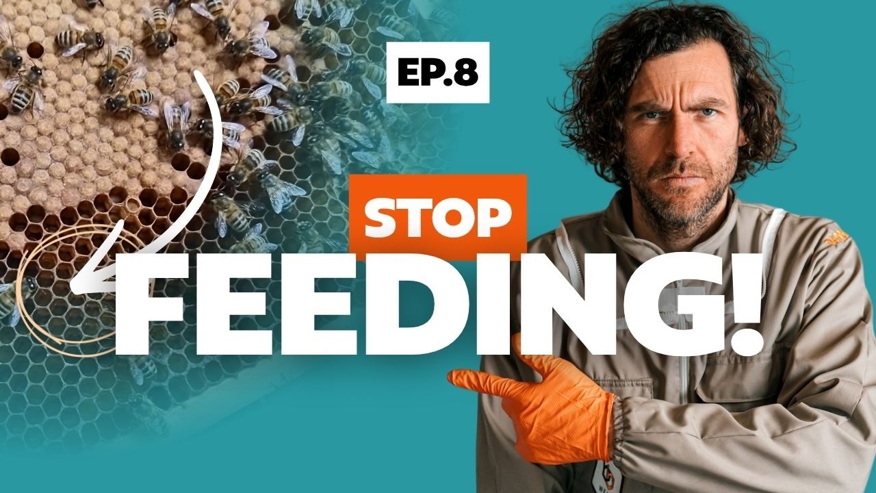 Episode 8 - Making Splits for Winter - Hive Inspection
