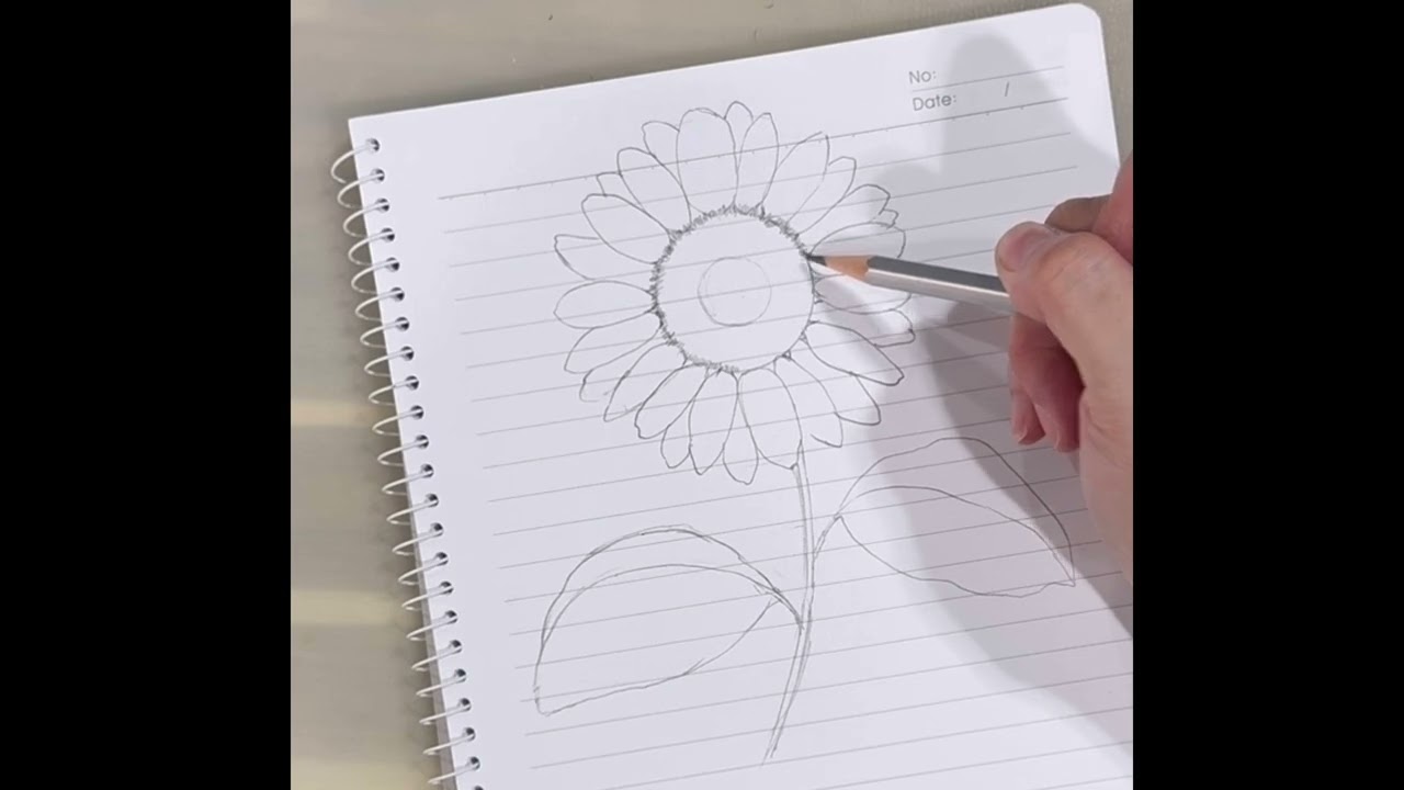 鉛筆畫向日葵/Pencil Drawing of Sunflower