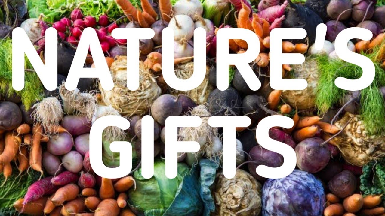 NATURE'S GIFTS