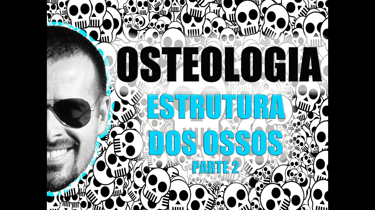 Sistema Esquelético - Estrutura dos ossos longos (Parte 2/2) - Anatomia Humana - VídeoAula 006