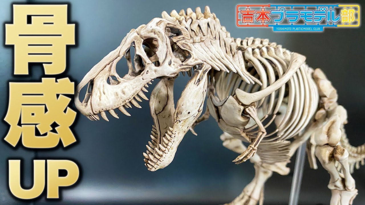 塗装で骨感アップ！ティラノサウルス骨格標本をリアル塗装！