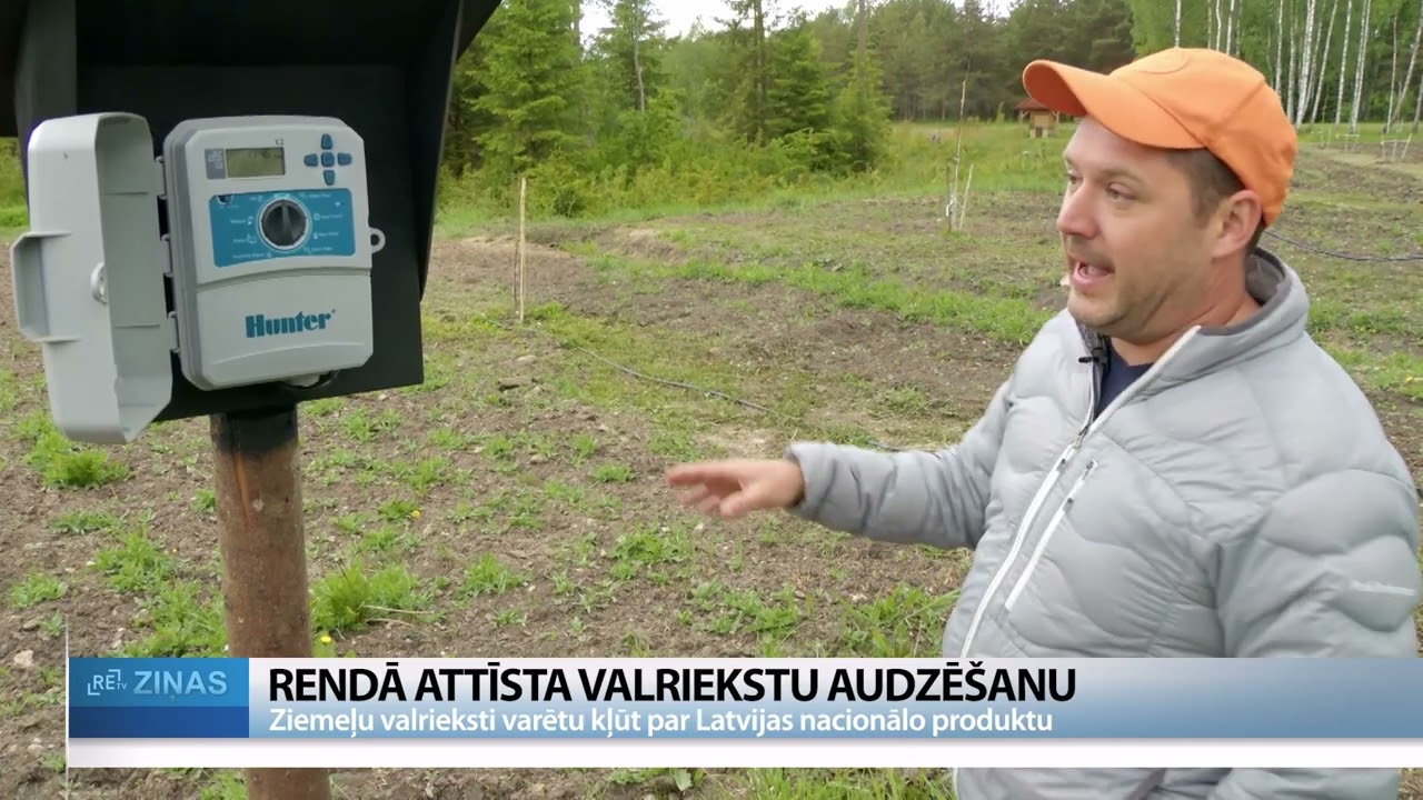 ReTV: Ziemeļu valrieksti varētu kļūt par Latvijas nacionālo produktu