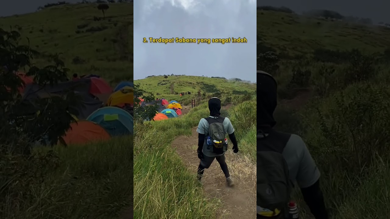 5 Alasan mendaki Gunung Sumbing Via Gajah Mungkur Wonosobo #gunungsumbing #sumbingmountain