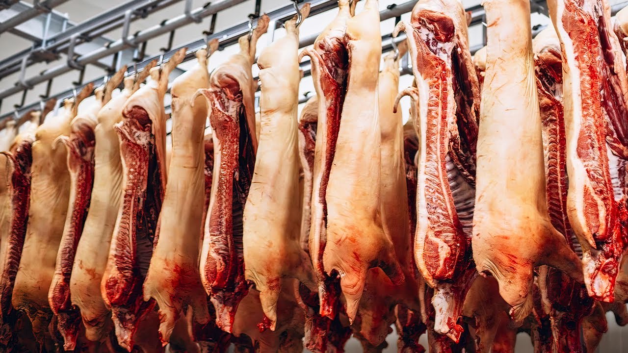 Modern Pork Processing Machines that are on Another Level