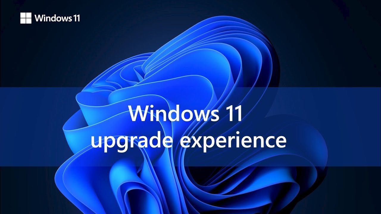 Windows 11 Upgrade Experience