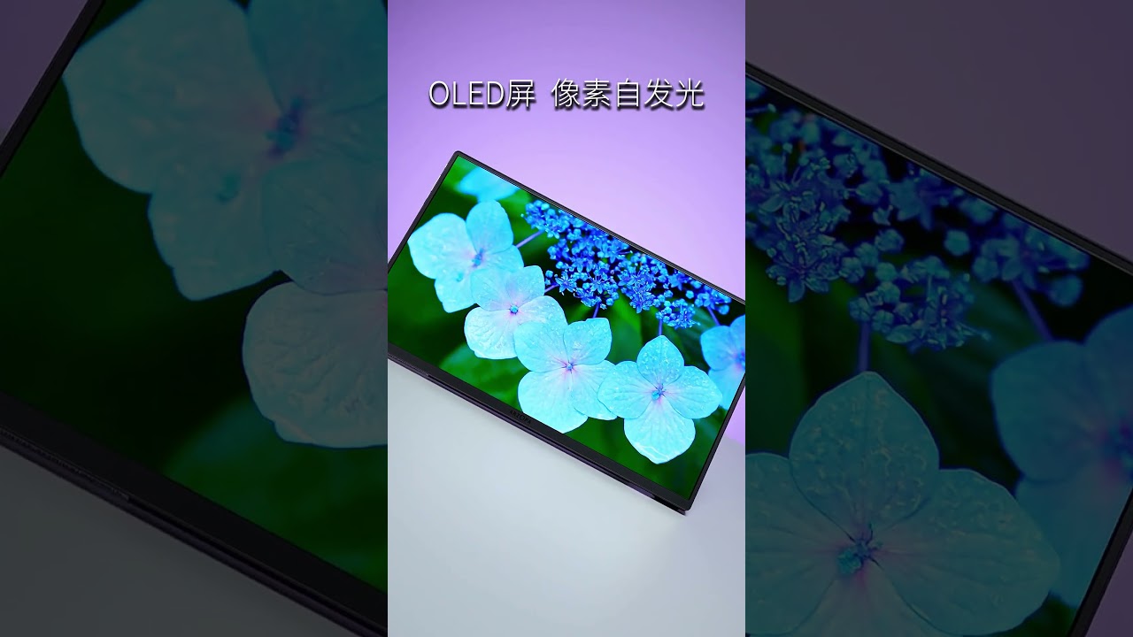 Arzopa OLED 13.3