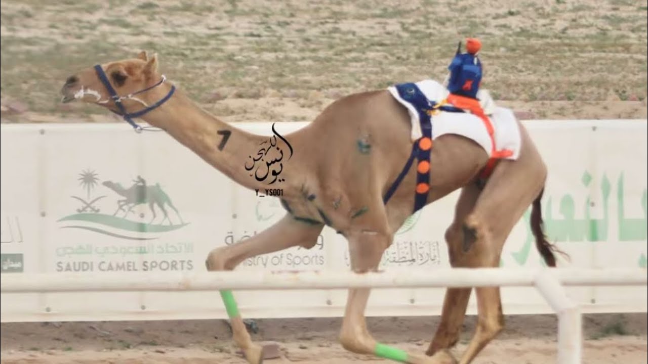حماس : جابر حمد سالم الفهيده المري