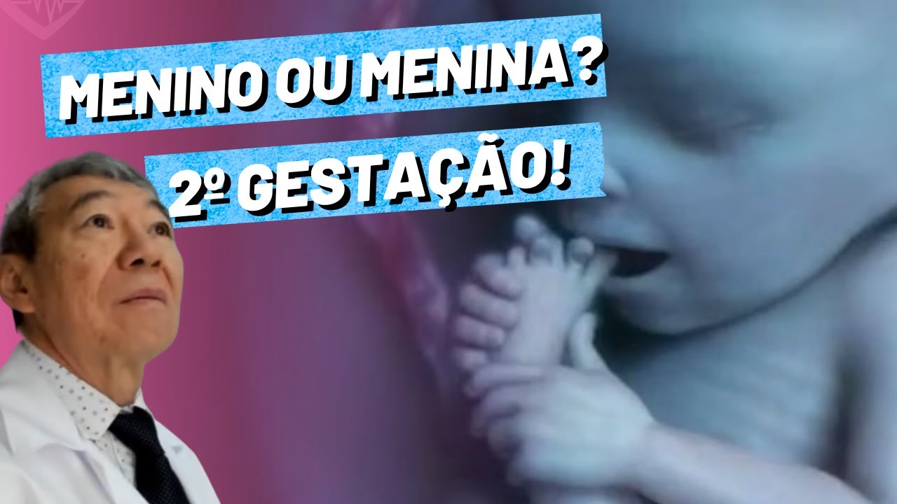 AO VIVO: MENINO OU MENINA? - 2º GESTAÇÃO!