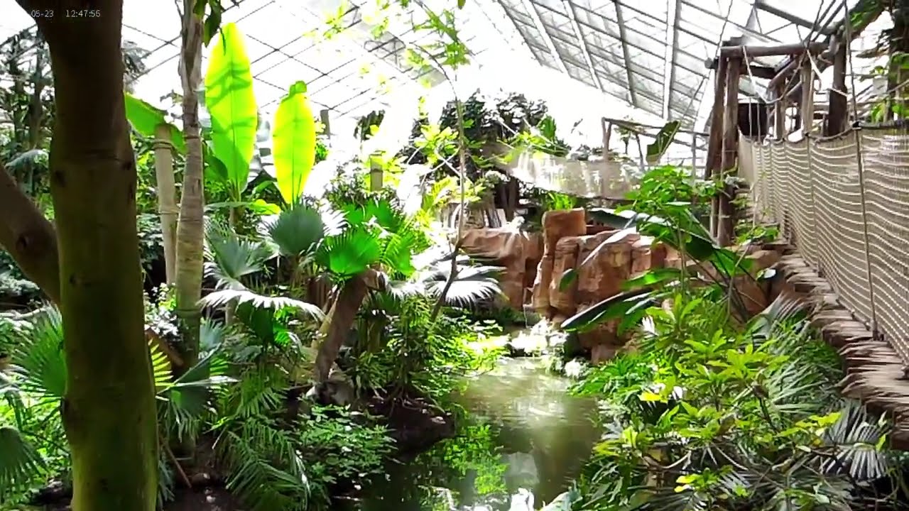 Paradaisa. Restaurant oasis .