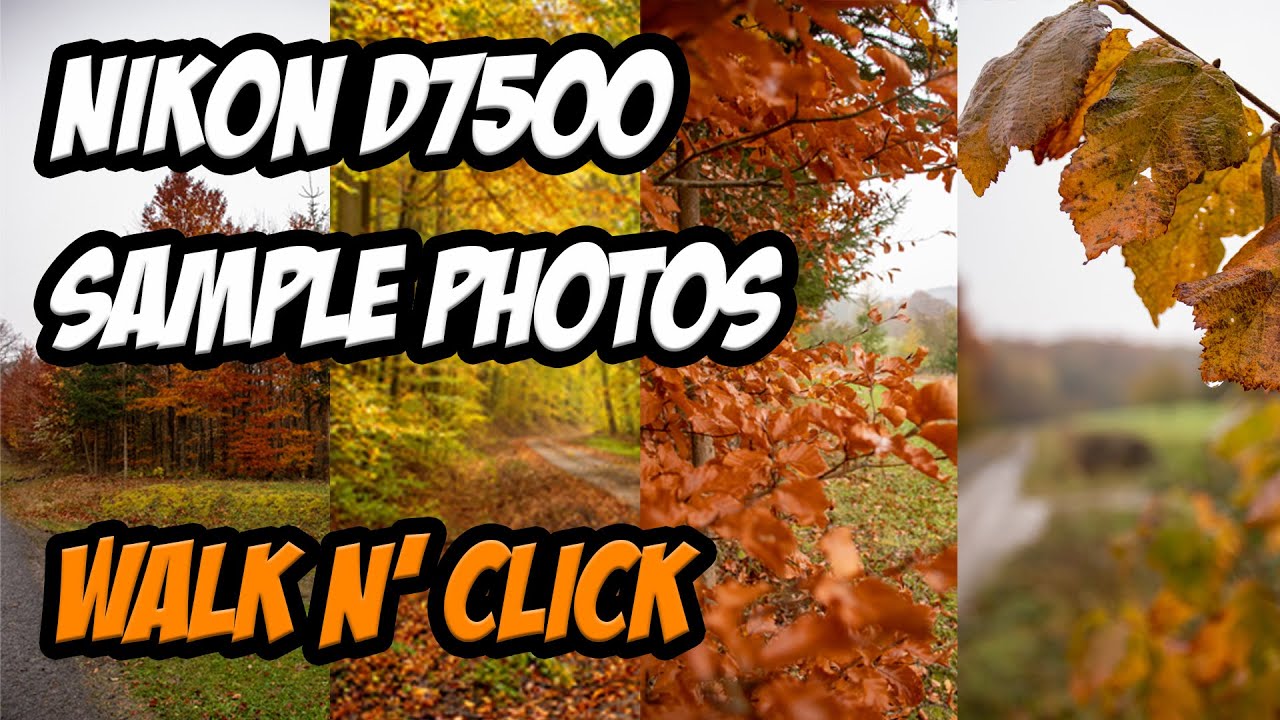 Nikon D7500 Sample Photos
