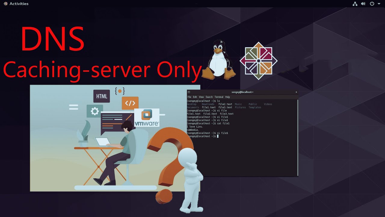 DNS in centOS Linux (CentOS 8)